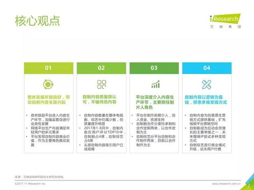 2017年中国网络自制内容行业研究报告 数字内容制作服务深度解析